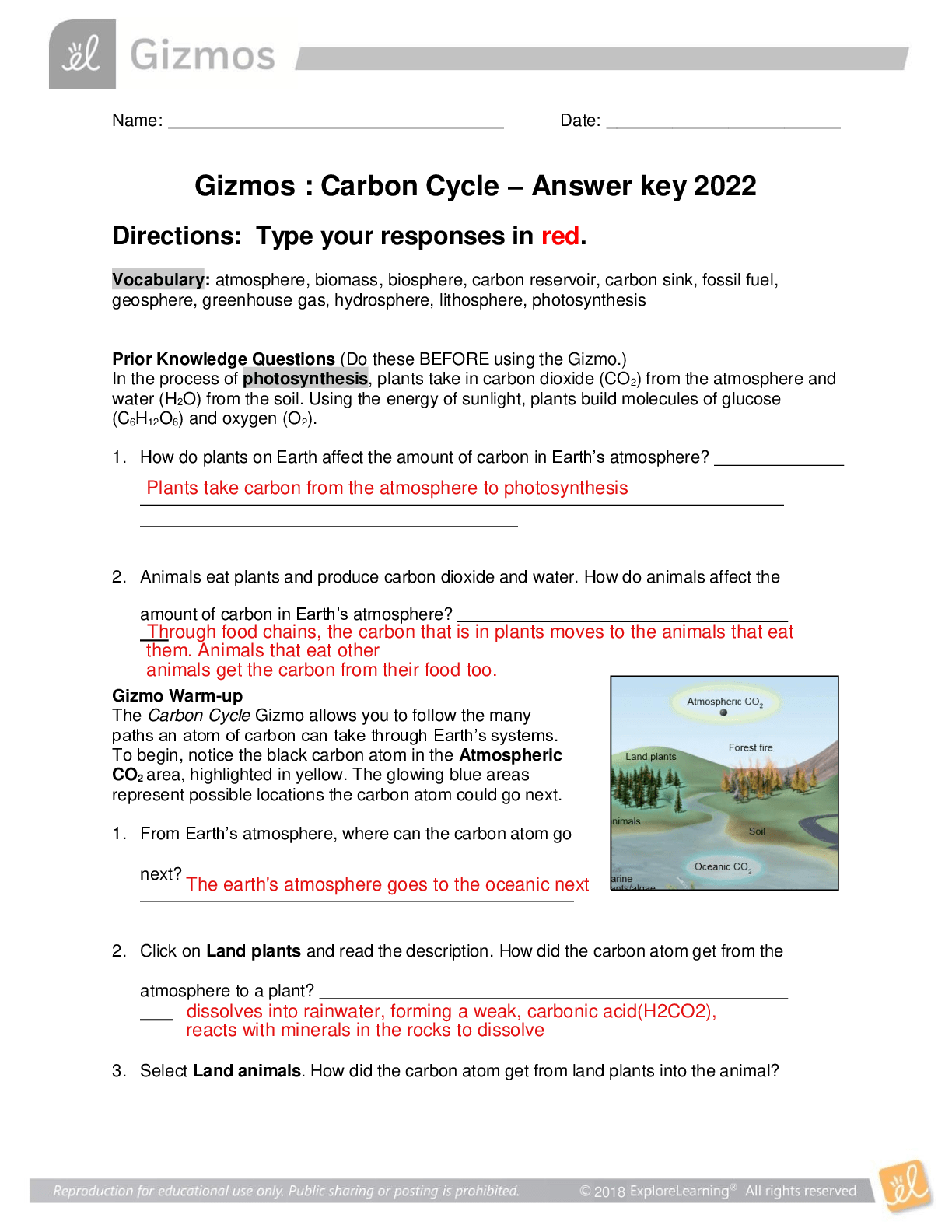 Gizmos : Carbon Cycle – Answer key 2022 - Browsegrades